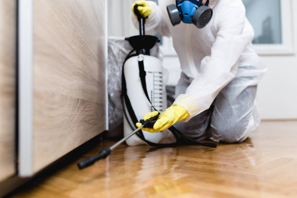 Best Pest Control Near Me in Somerdale, NJ