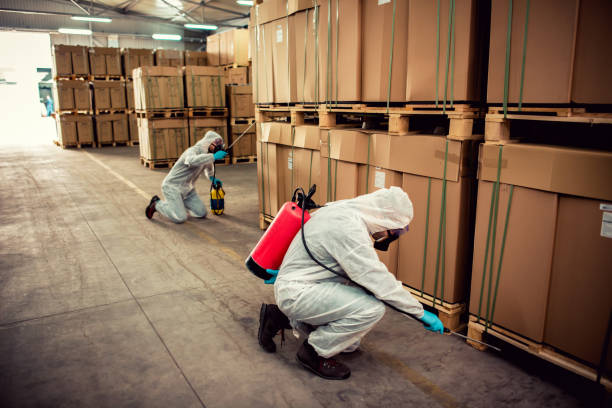 Best Best Pest Control Companies  in Somerdale, NJ