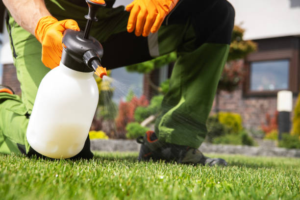 Best Commercial Pest Control Services  in Somerdale, NJ
