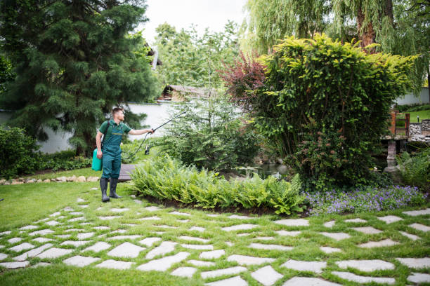 Trusted Somerdale, NJ Pest Control Experts