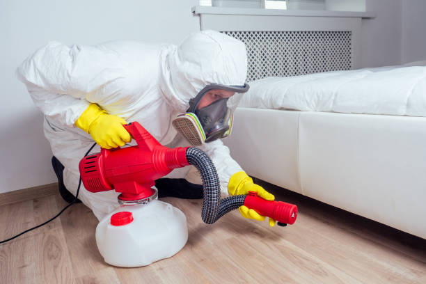 Best Pest Prevention Services  in Somerdale, NJ