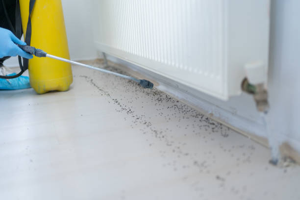Best Cockroach Control Services  in Somerdale, NJ