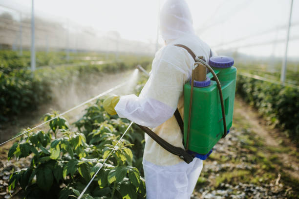 Best Pest Removal Services  in Somerdale, NJ